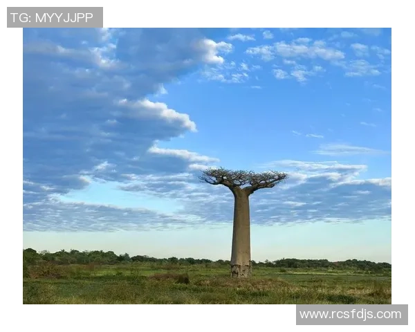 刘军的攀岩人生深度对话探索极限与自我超越的旅程