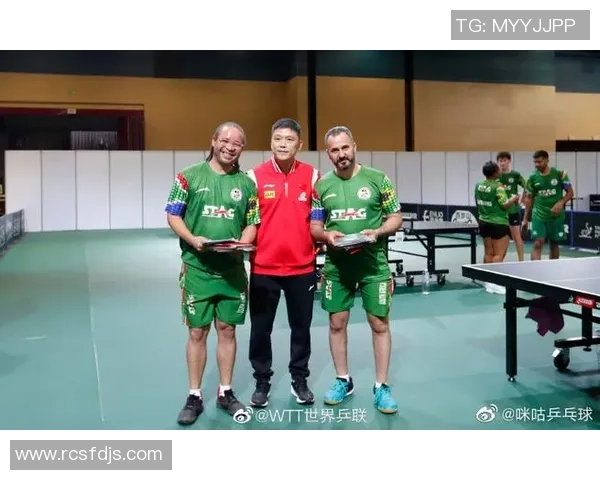 南京乒乓球队配合策略深度解析与其他球队的对比分析